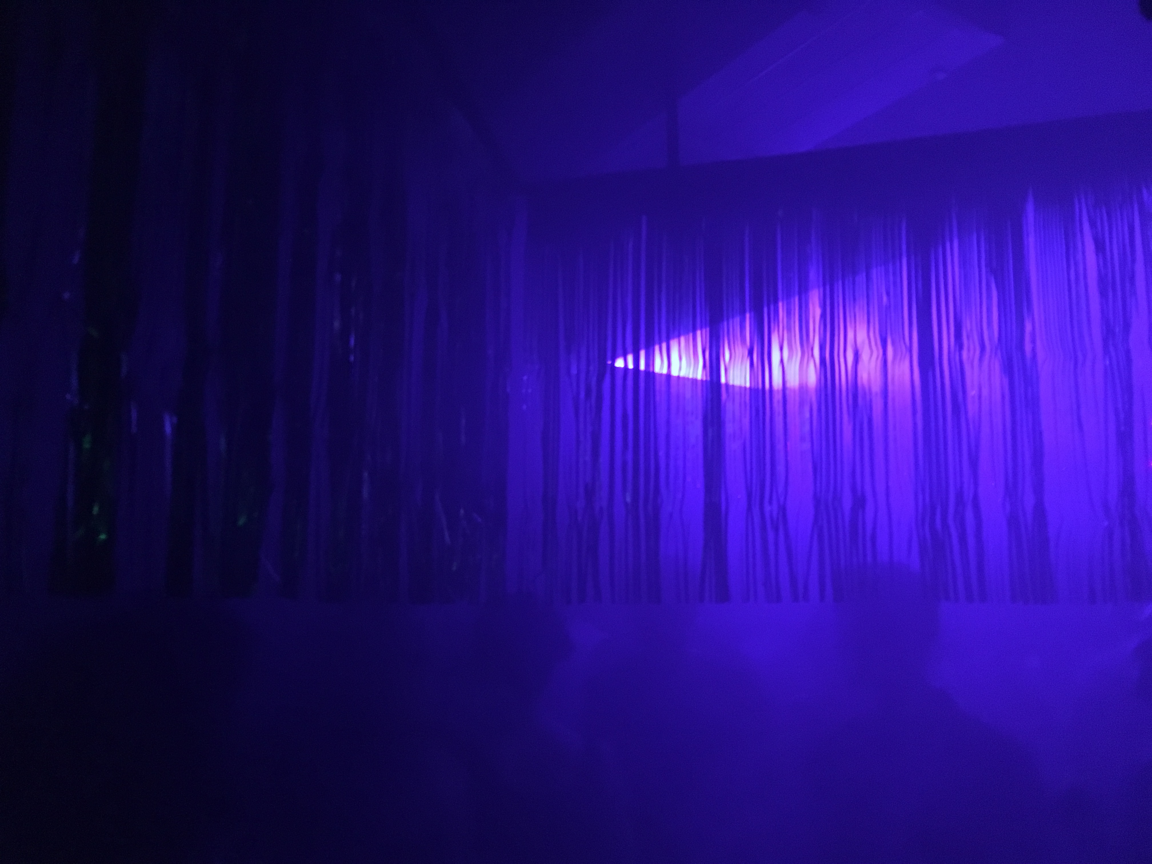 Beautiful Swimmers, Art Installation, July 2018. Gia Valente